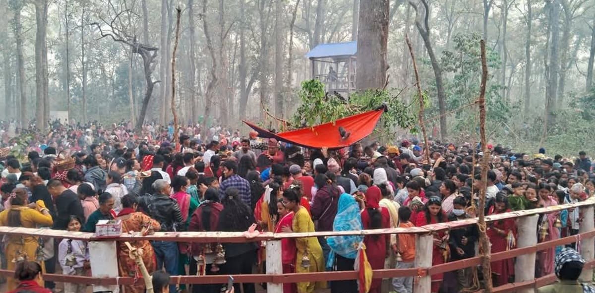 चैत ५ गतेदेखि चितवनको कसरामा विक्रमबाबा पूजा हुँदै